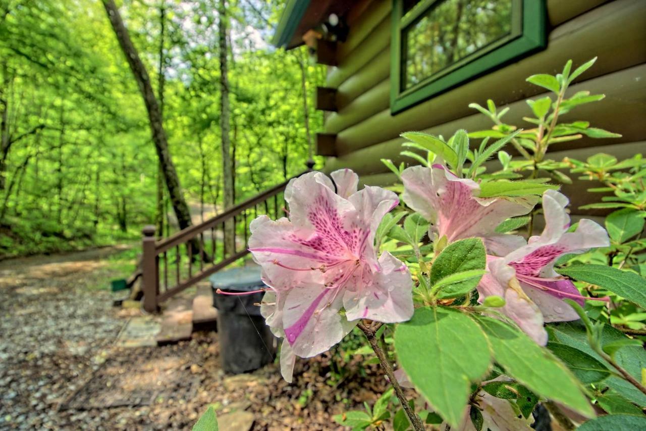 Tree Song Mountain Creek Cabin 엘리제이 외부 사진